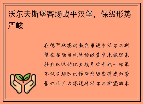 沃尔夫斯堡客场战平汉堡，保级形势严峻