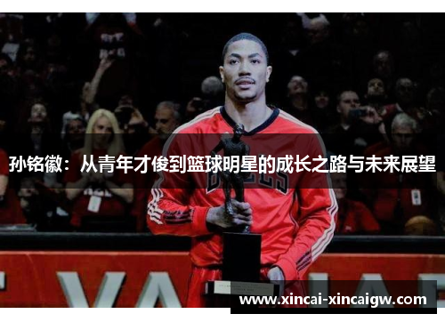 孙铭徽：从青年才俊到篮球明星的成长之路与未来展望