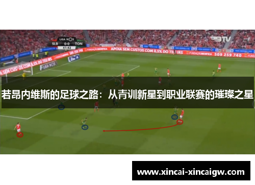 若昂内维斯的足球之路：从青训新星到职业联赛的璀璨之星